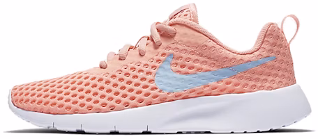 (Youth) Nike Tanjun BR 'Bleached Coral' BQ9922-600
