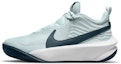 Buy (JR) Nike Team Hustle D10 'Aura Armory Navy' Lelaki CW6735-400