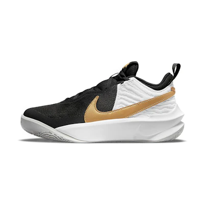 (Youth) Nike Team Hustle D10 'Black Metallic Gold'