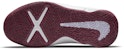 (Youth) Nike Team Hustle D10 'Smoke Grey Dark Beetroot' CW6735-007
