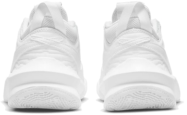 (Youth) Nike Team Hustle D10 'White Photon Dust' CW6735-101 Purchase (Youth) Nike Team Hustle D10 'White Photon Dust' CW6735-101