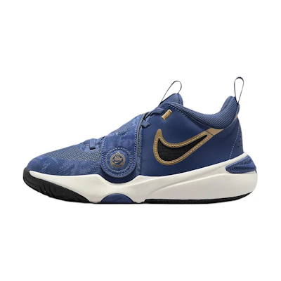 (Youth) Nike Team Hustle D11 'Mystic Navy Metallic Gold'