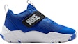 Order (Youth) Nike Team Hustle D12 'Game Royal' HF6279-400