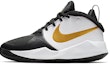 Buy (JR) Nike Team Hustle D9 'Hitam Emas Metalik' AQ4224-004