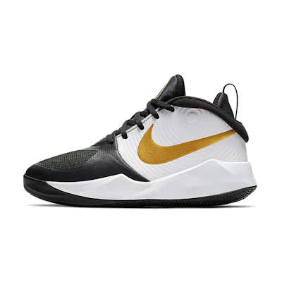 (Youth) Nike Team Hustle D9 'Black Metallic Gold'