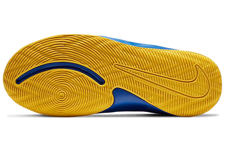 Details for (JR) 耐克Team Hustle D9“皇家蓝”篮球鞋 AQ4224-404