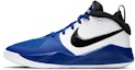 Buy (JR) Nike Team Hustle D9 'Putih Game Royal' AQ4224-405