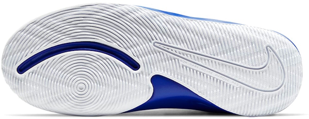 (Youth) Nike Team Hustle D9 'White Game Royal' AQ4224-405 Details for (Youth) Nike Team Hustle D9 'White Game Royal' AQ4224-405
