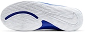 Details for (JR) Nike Team Hustle D9 'Putih Game Royal' AQ4224-405