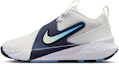 Buy (JR) Nike Team Hustle D 12 ''Summit White'' Sneaker HF6279-104