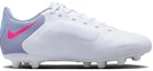 Order 兒童 Nike Tiempo Legend 9 Academy HG 人造草坪 耐磨透氣 低幫 兒童足球鞋 白黑