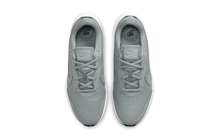 Shop (JR) Nike Varsity Leather ''Grigio Particellare'' CN9146-005