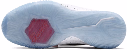 Purchase GS大童 Nike Zoom Flight 黑粉
