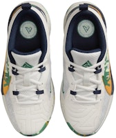 (JR) 耐克Zoom Freak 5 '欢迎来到营地' FN4975-001 Shop (JR) 耐克Zoom Freak 5 '欢迎来到营地' FN4975-001