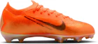 Details for (JR) Nike Zoom Mercurial Vapor 16 Elite FG '既視感' 足球鞋 IO1556-800