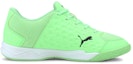 Order (Youth) Puma Auriz Jr 'Green' 106149-04
