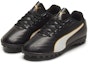 Lookbook (JR) Puma Classico C II TT 'Hitam Putih Emas' 105017-01