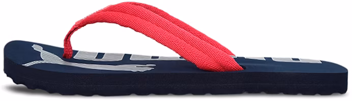 (Youth) Puma Epic Flip V2 'Blue Pink' 362802-26 (Youth) Puma Epic Flip V2 'Blue Pink' 362802-26