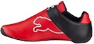 Buy (JR) Puma Future Cat SF Jr 'Rojo Negro Colorblock' 360877-04