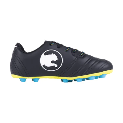 (Youth) Puma ProCat Speed Force FG 'Black White'
