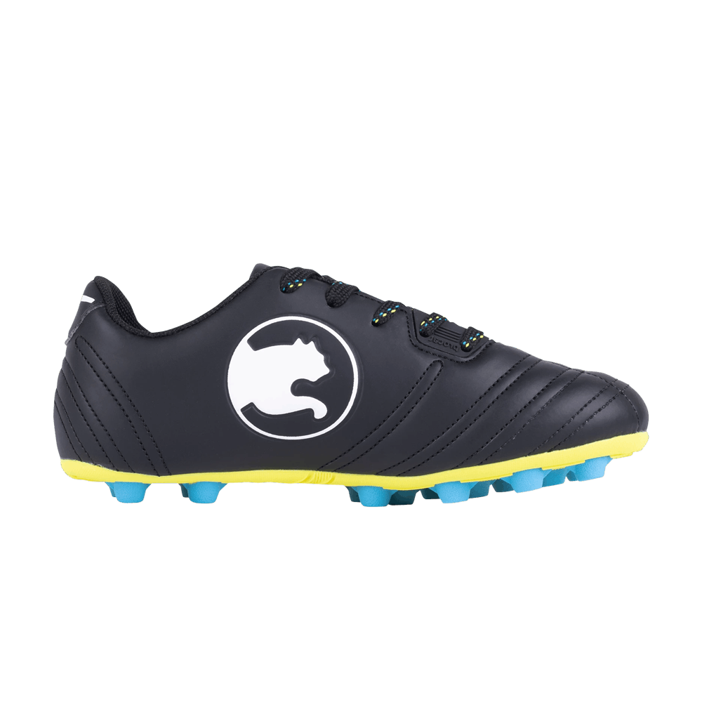 (Youth) Puma ProCat Speed Force FG 'Black White'