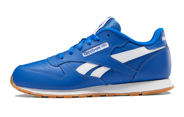 (Youth) Reebok Classic Leather ATI 'Ocean Blue' FW9647