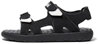 Buy (Youth) Timberland Perkins Row 'Black White' A24T6015