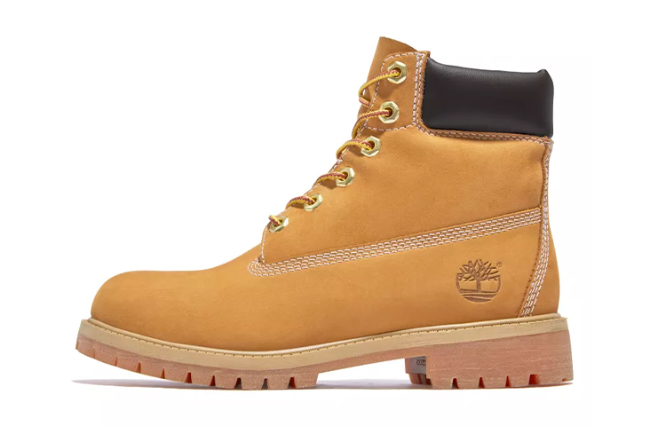 (Youth) Timberland Premium 6-Inch Narrow Fit Waterproof Boots 'Wheat' 12909M
