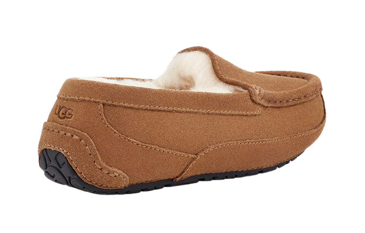 Lookbook (Youth) UGG Ascot Slipper Chestnut Suede 1120886K-CTSD