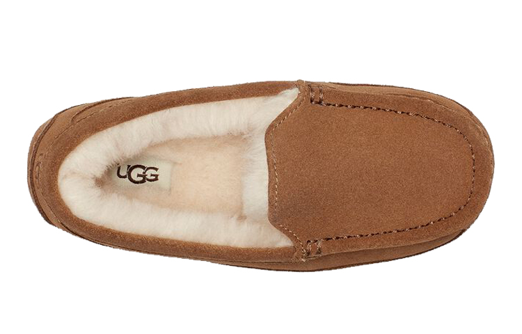 Shop (Youth) UGG Ascot Slipper Chestnut Suede 1120886K-CTSD