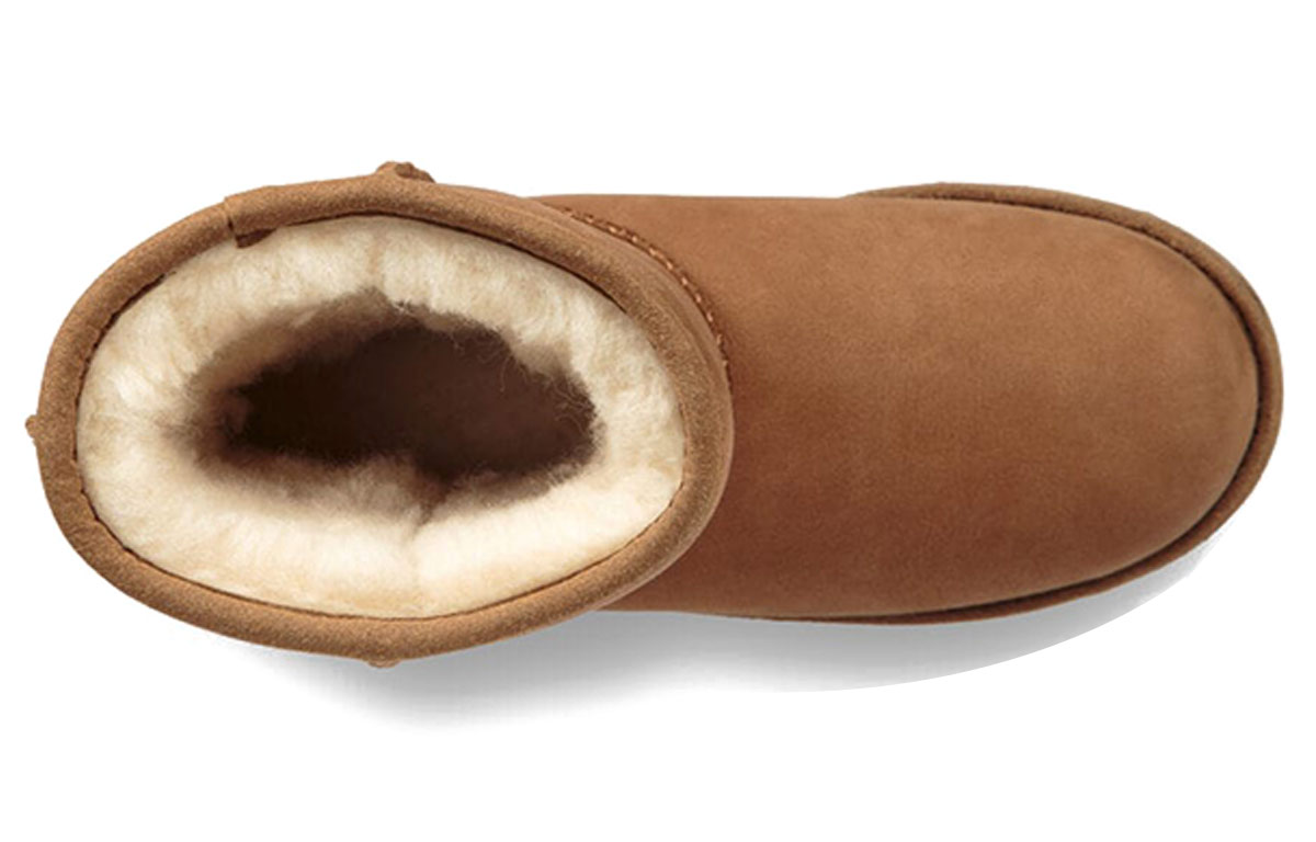 Purchase (JR) UGGクラシック II ウェザー チェスナット (UGG Kurashikku II Wezaa Chesunatto) 1019646K-CHE