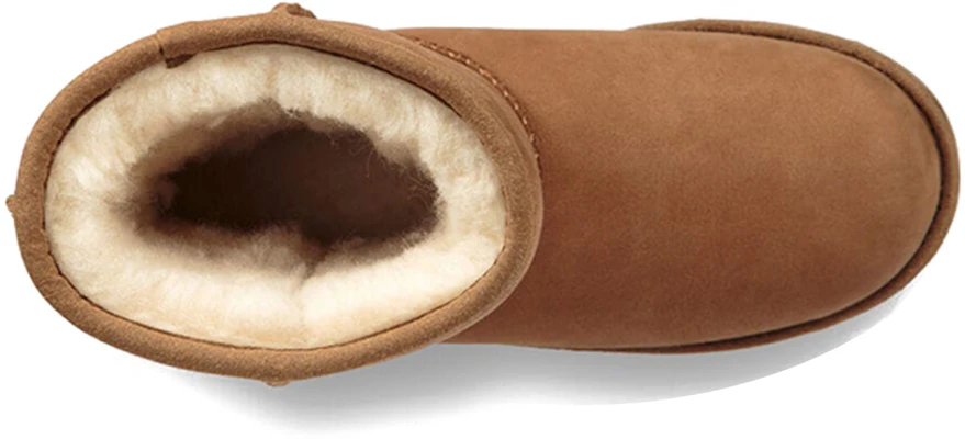 (JR) UGGクラシック II ウェザー チェスナット (UGG Kurashikku II Wezaa Chesunatto) 1019646K-CHE Purchase (JR) UGGクラシック II ウェザー チェスナット (UGG Kurashikku II Wezaa Chesunatto) 1019646K-CHE