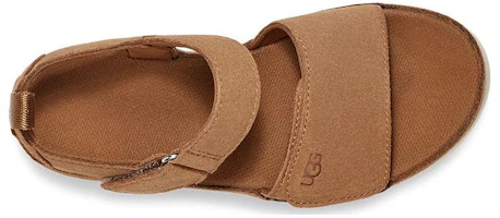 Lookbook 大童 UGG 牛皮 休閒舒適 兒童涼鞋 栗色