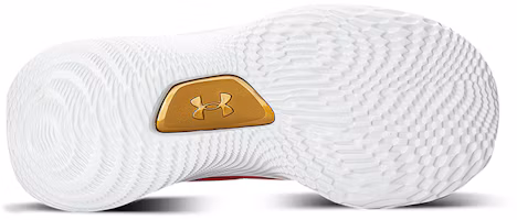 Purchase (JR) Under Armour Curry Flow 8 ''Tahun Baru Cina'' 3024036-600