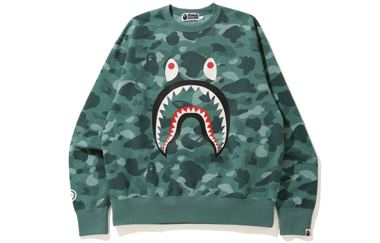 A BATHING APE Bape Colorful Camo Hoodie 1H30-113-014 圖 4