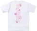 Purchase A BATHING APE BAPE Sakura Photo Ape Head Tee Cherry Blossom Limited Edition. 1I20-110-007