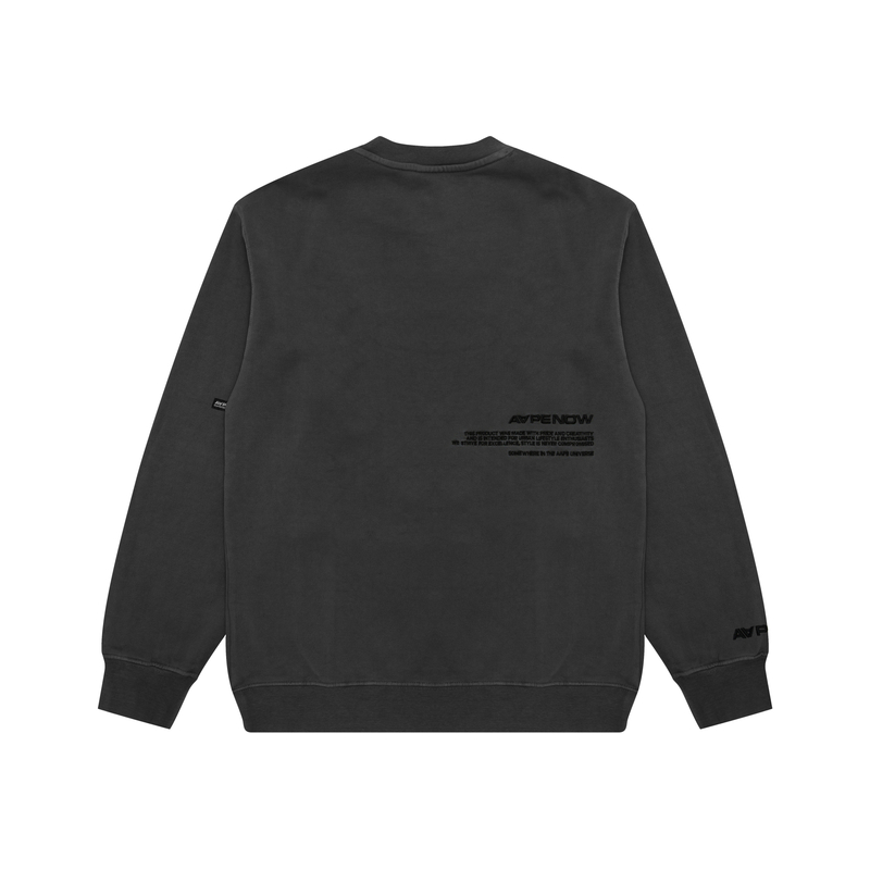 Sizing AAPE Ape Logo Embroidery Casual Crewneck Pullover Sweatshirt for Men AAPSWMA307XXL