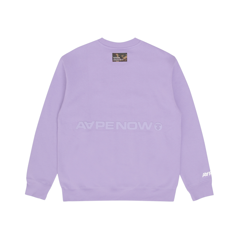 Lookbook AAPE FW22 Crewneck Sweatshirt with Logo Patch and Letter Print Design AAPSWM3897XXJ