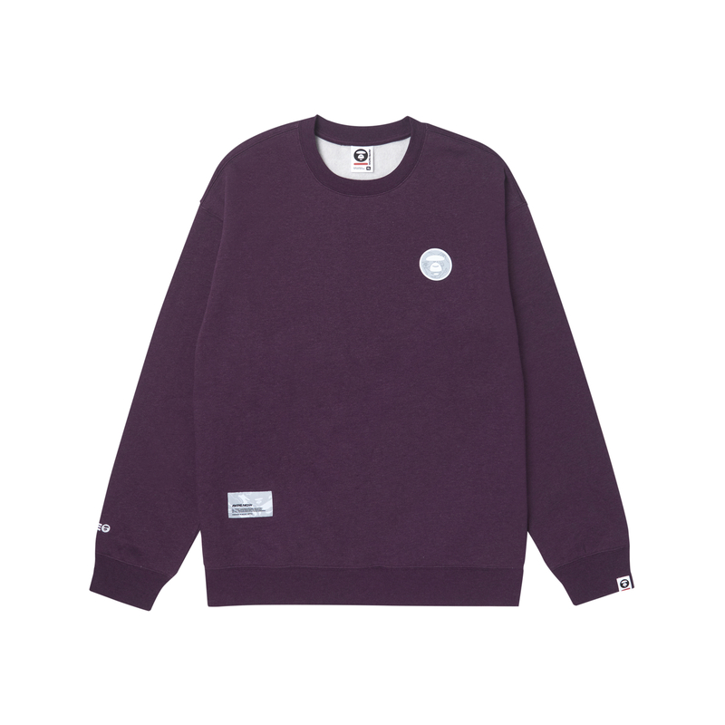 Details for AAPE FW23 猿人標誌刺繡字母圓領長袖衫 AAPSWMA306XAL