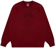 AAPE FW24 Embroidered Letter Crewneck Casual Sweatshirt AAPSWMB320XXN AAPE FW24 Embroidered Letter Crewneck Casual Sweatshirt AAPSWMB320XXN