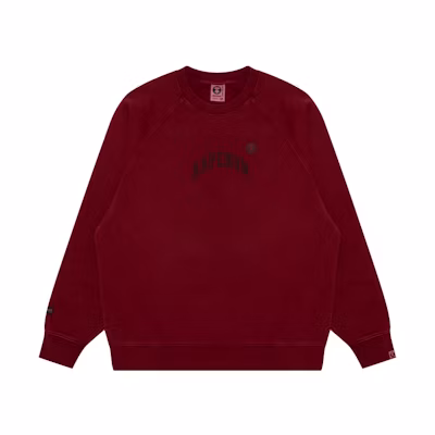 AAPE FW24 Embroidered Letter Crewneck Casual Sweatshirt AAPSWMB320XXN