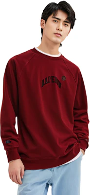 AAPE FW24 Embroidered Letter Crewneck Casual Sweatshirt AAPSWMB320XXN Details for AAPE FW24 Embroidered Letter Crewneck Casual Sweatshirt AAPSWMB320XXN