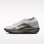 Buy ACG Pegasus Trail GORE-TEX 淺銀/淺軍綠/安全橘/淺銀 IQ1084-003