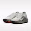 Purchase ACG Pegasus Trail GORE-TEX 淺銀/淺軍綠/安全橘/淺銀 IQ1084-003