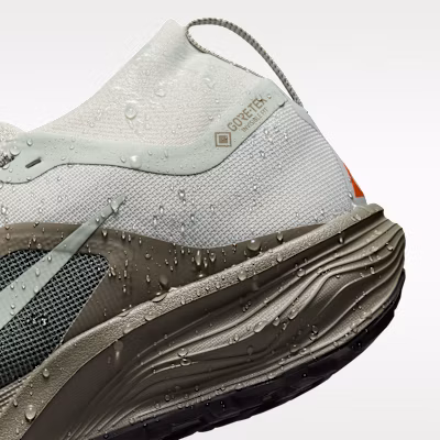 ACG Pegasus Trail GORE-TEX 淺銀/淺軍綠/安全橘/淺銀 IQ1084-003 1