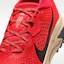 Sizing ACG Zegama Trail 淺紅/淺木棕/黑色 HV8113-600