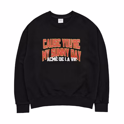 acmé de la vie ADLV Letter Print Sweatshirt Unisex Pullover Black ADLV-22FW-SWMYSY-BLK