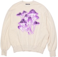 Acne Studios SS22 Unisex Beige Crewneck Pullover Long Sleeve Sweatshirt. CI0083-633 Acne Studios SS22 Unisex Beige Crewneck Pullover Long Sleeve Sweatshirt. CI0083-633