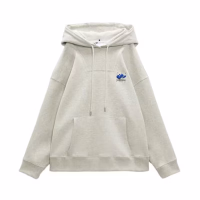 ADER ERROR ZARA FW22 Embroidered Graphic Pullover Hoodie Unisex Grey 264007802