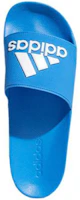 Purchase adidas Adilette Shower Slides 經典運動拖鞋 藍白